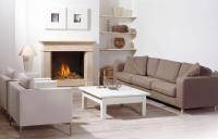 Газовый камин Faber Spectra Frameless