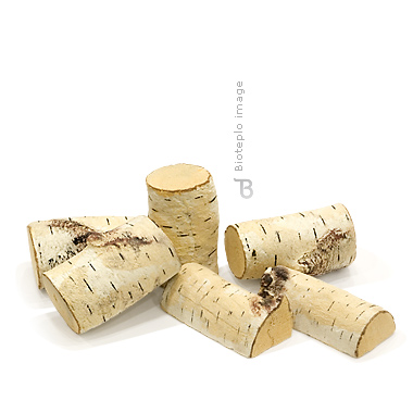 Набор из 5-ти поленцев «Береза»