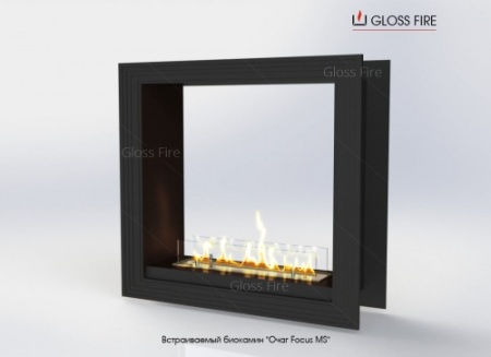 Встраиваемый биокамин Очаг Focus MS-арт.011 по цене 101 200 руб.